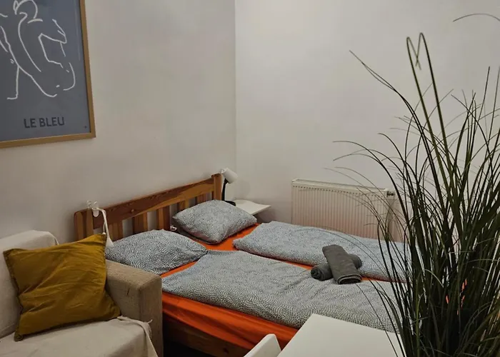 Vibrant City Center Rooms